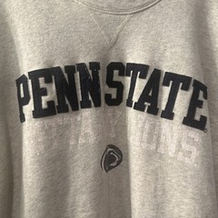 Vintage Penn State Champion Crewneck Sweatshirt Large Felt Letter Spell Out Read