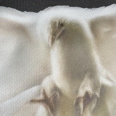 Yeezy Gap Balenciaga Shrunken Dove Hoodie Black Large (Check Description)