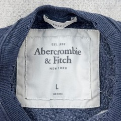 Abercrombie & Fitch Sweatshirt Men Large Blue Crewneck Rowing Muscle VTG Y2K