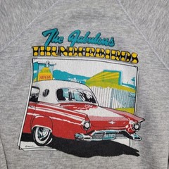Vintage 1983 Thunderbird Sweatshirt Teens Medium 20×20 Boxy