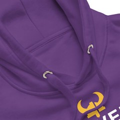 Never Trust A Kicker Minnesota Vikings Football Unisex Hoodie S,M,L,XL,2X,3X