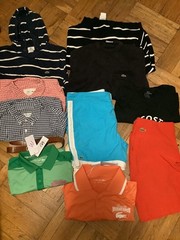 Reseller Lacoste lot polos sweaters hoodie shorts 17 items