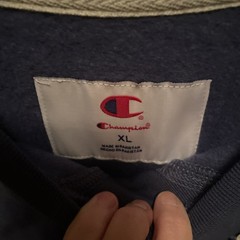 Champion Adult Sizing Iconic Embroidered Crewneck Sweatshirt – BLUE – XL