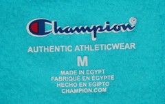 Champion Men’s Athleticwear Hoodie Sweatshirt Pullover Lightweight Gym Sport