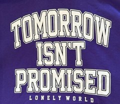 Rue21 Hoodie Violet Cotton Fleece Sweatshirt Unisex 0008175 0050