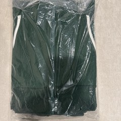 Kangol Apparel Green Drawstring Hoodie Size medium NWT Soft And Sustainable