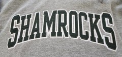 Shamrocks ☘️ Hoodie Mens XL Champion S Gray Green Embroidered Logo
