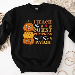 Fall Teacher Pumpkin Patch Sweatshirt Long Sleeve Unisex Size S M L XL 2XL 3XL