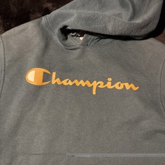 Champion Men’s Script Logo Pullover Hoodie Blue Teal Sweatshirt S Streetwear
