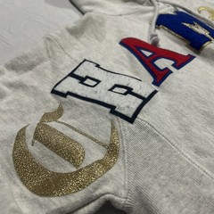 VTG Champion Varsity Letter Spell Out Hoodie Men’s Small Reverse Weave Sweatshir