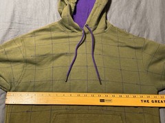 Champion Hoodie Mens M Olive Green Grid Pullover Sweatshirt Purple Trim Logo