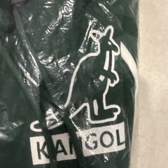Kangol Apparel Green Drawstring Hoodie Size medium NWT Soft And Sustainable