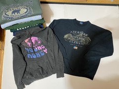 Wholesale Lot of 20 Sweatshirts Various Mens Size Vintage Y2K Rap Sports Graphic