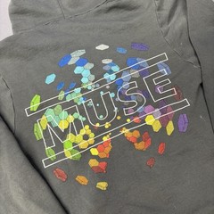 Vintage Y2K 00s Muse Band Zip Up Sweatshirt Sz Small Gray Promo A20