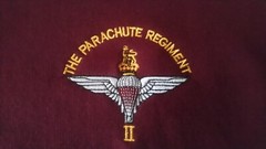 PARACHUTE REGIMENT UNITS DZ FLASH/PEGASUS HOODIE