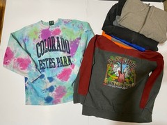 Wholesale Lot of 20 Sweatshirts Various Mens Size Vintage Y2K Rap Sports Graphic