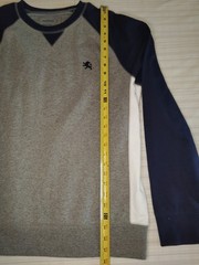 Express Mens Sweatshirt Large Colorblock Gray Navy White Lion Logo NWT Cotton L