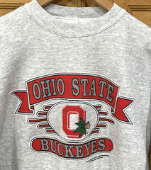 20/20 Sport OSU Sweatshirt Men’s L Gray Vintage Ohio State Embroidered USA