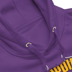 Disappointed 1961 Vikings Football Minnesota Unisex Hoodie S,M,L,XL,2X,3X