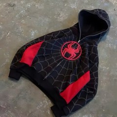 Y2k Spider-Man puff print hoodie