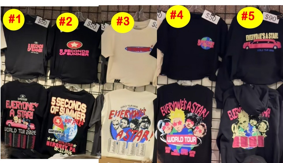 Seconds of Summer 5SOS 2026 World Tour T-Shirts or Hoodie reprint