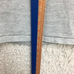 Champion Hoodie Medium Adult Gray Heather Pullover Sweatshirt Athletic Mens M