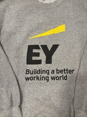 EY Logo Unisex Sweatshirt Large Big Four 4 Accounting Firm