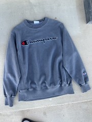 Champion Reverse Weave Crewneck Sweatshirt Grey