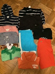 Reseller Lacoste lot polos sweaters hoodie shorts 17 items