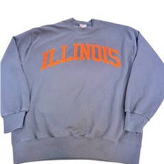 Vintage 90s Illinois Felt Letter Fighting Illini Sweatshirt Taylor XL