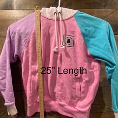 Teddy Fresh Pastel Color Block Retro Hoodie Sweatshirt Size S Pink/Blue/Purple