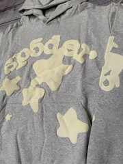 *BRAND NEW* Spider Worldwide “Beluga Grey” Hoodie – Ready To Ship🚚💨 (Size M)