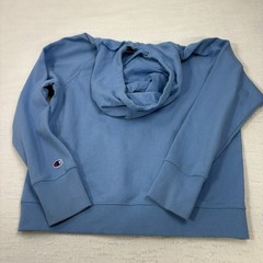 Champion Hoodie Sweatshirt Pullover Blue Mens M Athletic EXCELLENT cond.