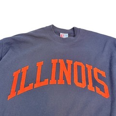 Vintage 90s Illinois Felt Letter Fighting Illini Sweatshirt Taylor XL