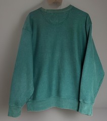 Vintage 90s Champion Reverse Weave Dartmouth Sweatshirt Size L Green Ivy League