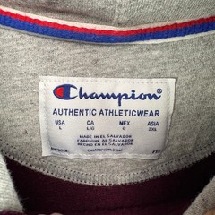 Champion Mens Maroon Graphic Sleeve Logo Hoodie Sweatshirt Large AW965E