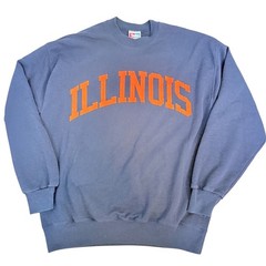 Vintage 90s Illinois Felt Letter Fighting Illini Sweatshirt Taylor XL
