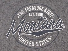 New Montana The Treasure State Est. 1889 Mens Sizes S-M-L-XL-2XL-3XL Gray Hoodie