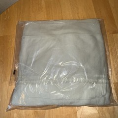 NWT Champion Reverse Weave Hoodie Premium Sweatshirt Clever Sage XL UNOPENED
