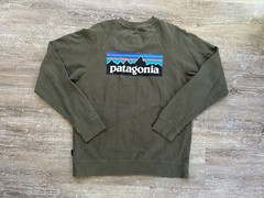 Patagonia Midweight Sweatshirt Medium CrewNeck Pullover Logo Spring 2021 Green