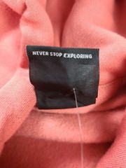 The North Face Men’s L Hoodie Coral Pink Box Logo Never Stop Exploring NWT