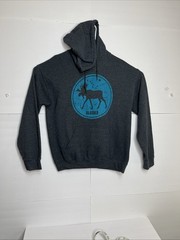 Mens Alaska Graphic State Hoodie Medium