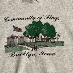 Vtg 90’s COMMUNITY OF FLAGS Brooklyn IA Collared Crewneck Sweatshirt Adult XL