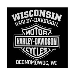 Harley-Davidson Men’s Sweatshirt Willie G Skull H-D Pullover Black 30296648