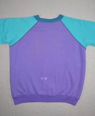 Vintage Hanes Sweatshirt Mens Medium Raglan Crewneck Color Block Blank Made USA