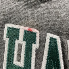 Holloway Mens Hoodie ( NORTH HALL) Size XXS ( See Pic)