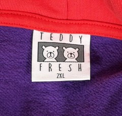 Teddy Fresh Purple Green Red Pullover Hoodie Open Pockets Drawstring Embroidered