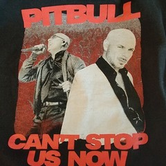Pitbull Can’t Stop Us Now Tour Hoodie Size S Black Timeless Miami