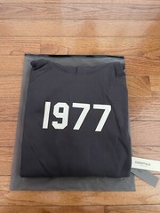 FEAR OF GOD ESSENTIALS hoodie 1977 IRON S22 Size XL