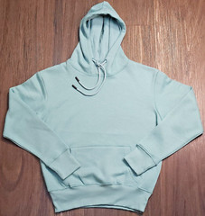 Plain Hooded Sweatshirt Women’s Soft Heavyweight Hoodie Top Quality All Seasons